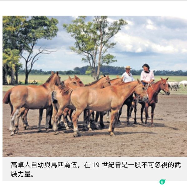阿根廷牛仔馬上穿環騎功