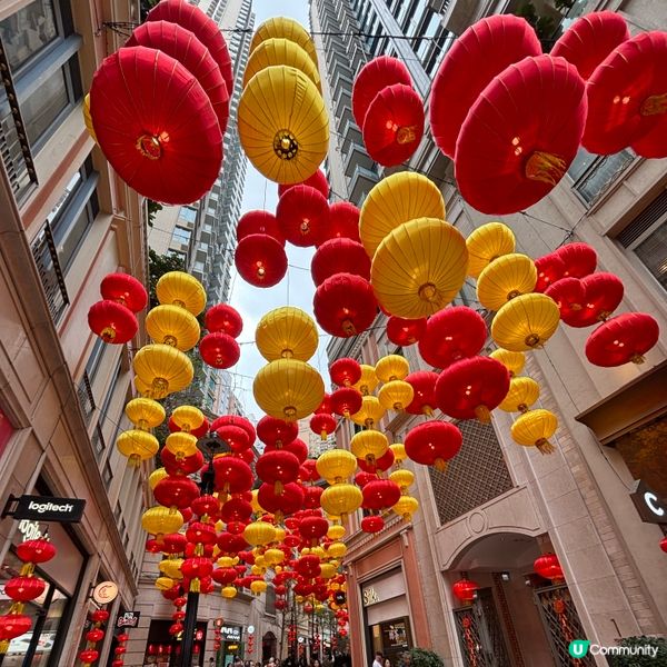 利東街新年氣氛💯🎉💰