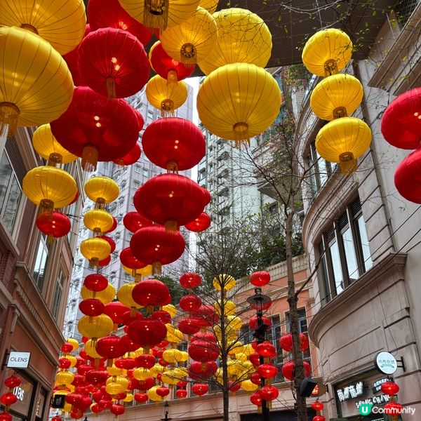 利東街新年氣氛💯🎉💰