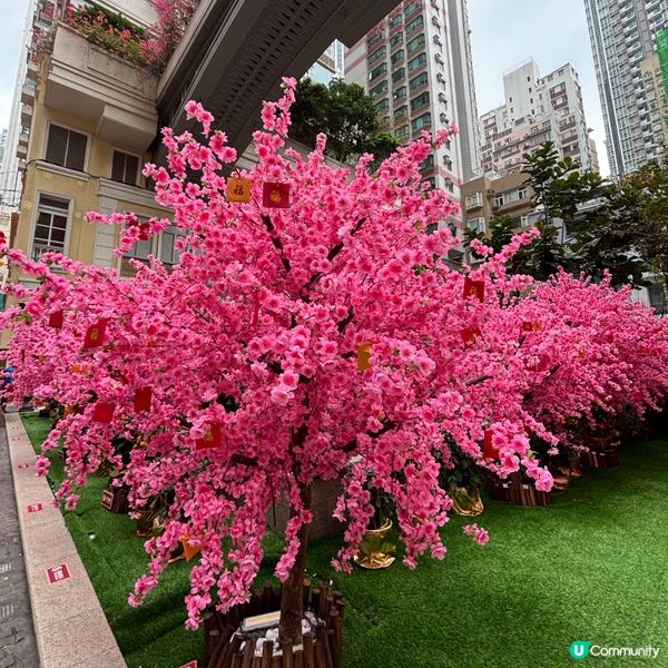 利東街新年氣氛💯🎉💰