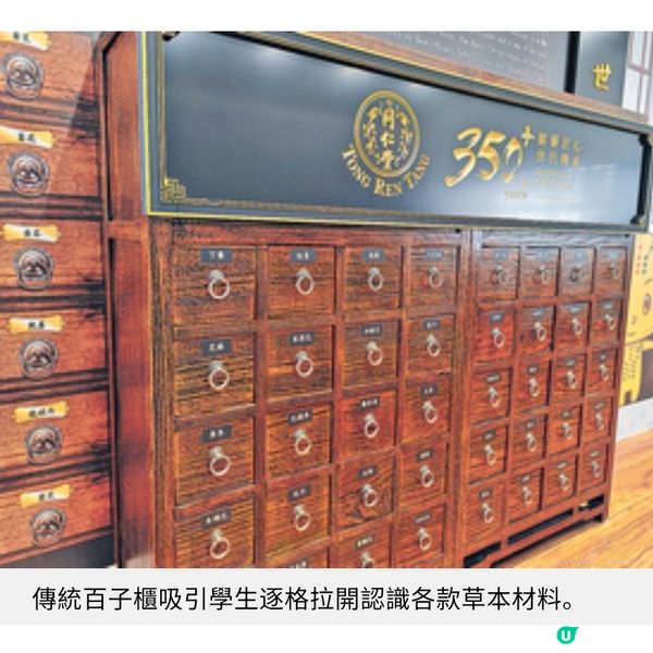 小學校園變身藥膳坊 走進中醫藥世界 動手做艾草糯米糍歎花茶