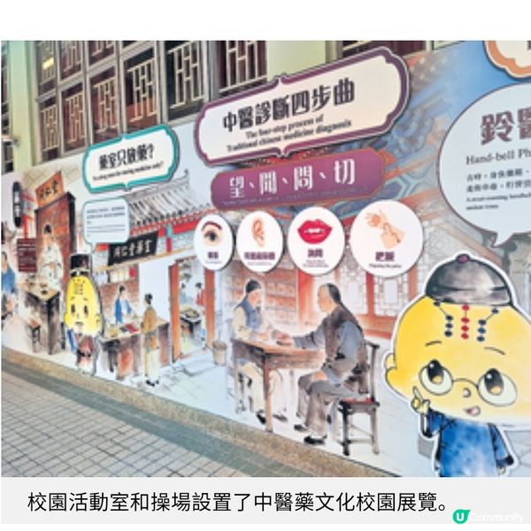 小學校園變身藥膳坊 走進中醫藥世界 動手做艾草糯米糍歎花茶