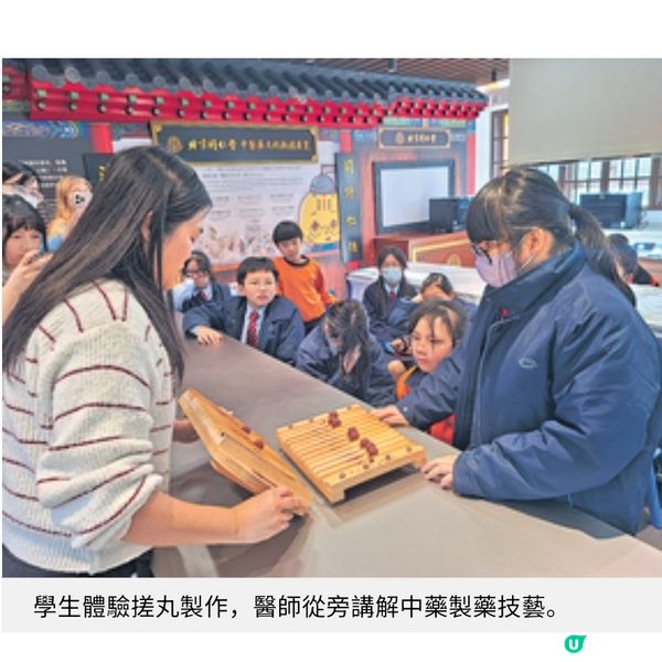 小學校園變身藥膳坊 走進中醫藥世界 動手做艾草糯米糍歎花茶