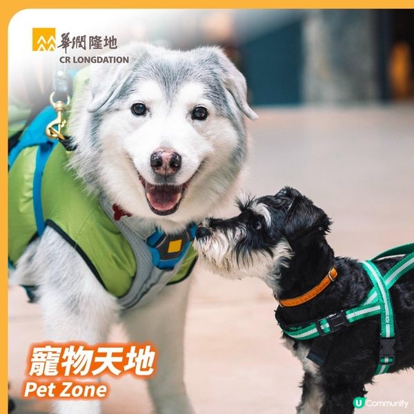 跑向將軍澳🌊華潤隆地跨海跑 · 嘉年華 2026