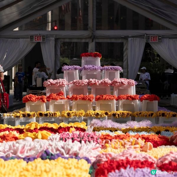 必去！中環夢幻毛絨花海🌸🎨