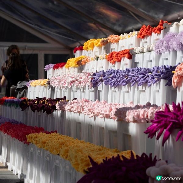 必去！中環夢幻毛絨花海🌸🎨