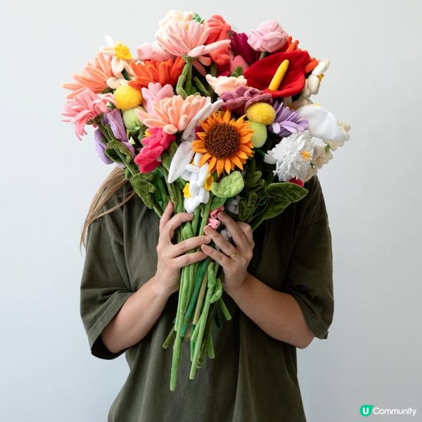 必去！中環夢幻毛絨花海🌸🎨