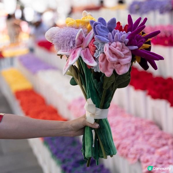 必去！中環夢幻毛絨花海🌸🎨