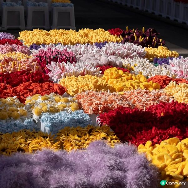 必去！中環夢幻毛絨花海🌸🎨