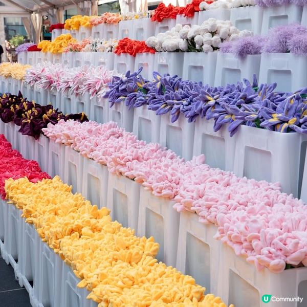 必去！中環夢幻毛絨花海🌸🎨