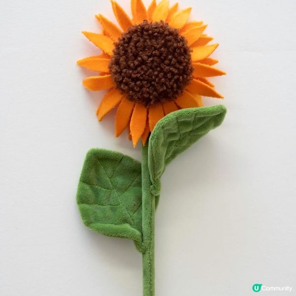 必去！中環夢幻毛絨花海🌸🎨