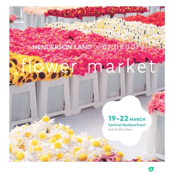 Henderson Land花藝裝置首度登陸中環為香港藝術三