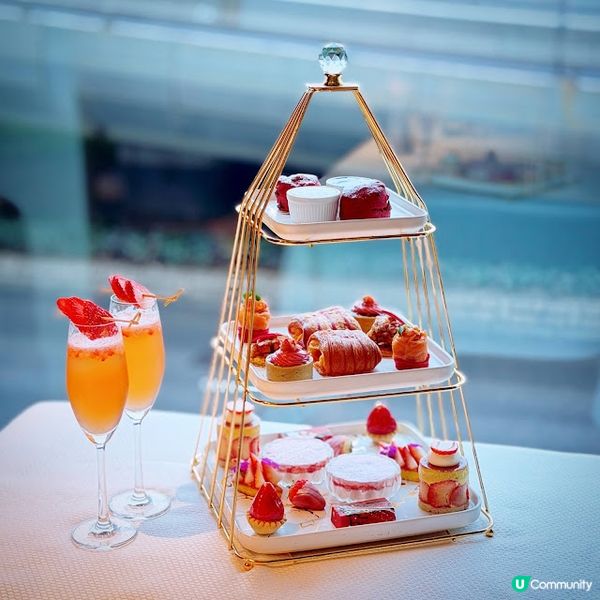 緋紅頌@The Mistral 