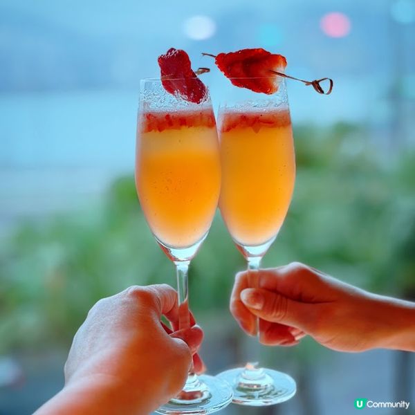 緋紅頌@The Mistral 