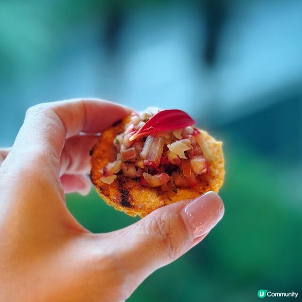 緋紅頌@The Mistral 