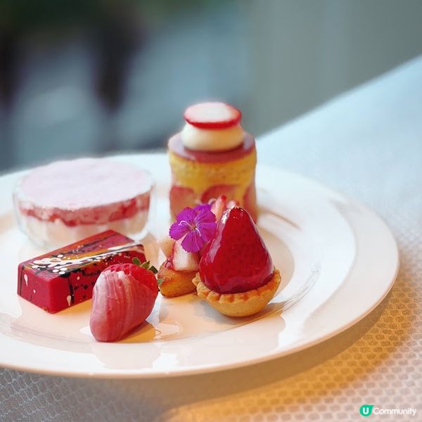 緋紅頌@The Mistral 