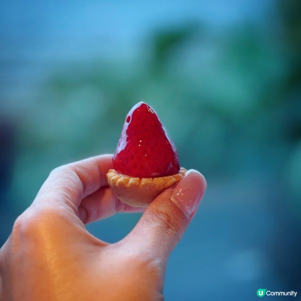 緋紅頌@The Mistral 