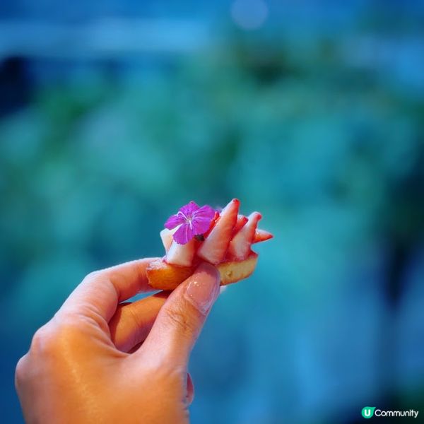 緋紅頌@The Mistral 