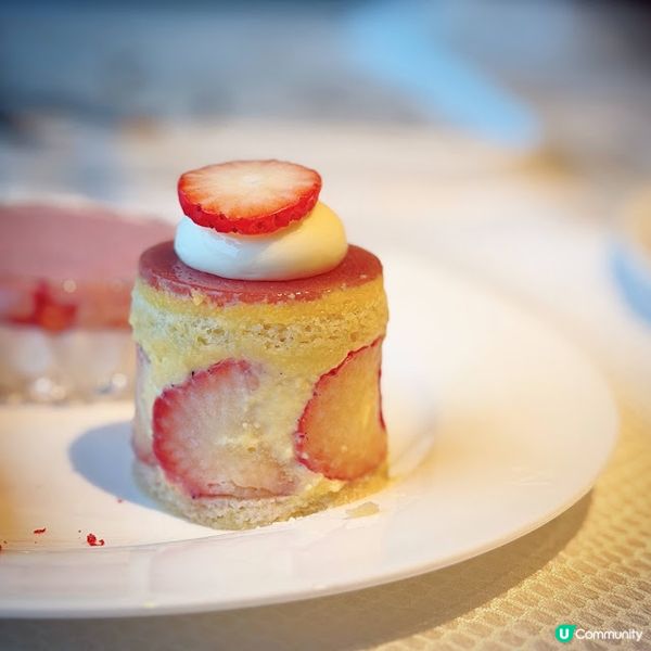 緋紅頌@The Mistral 