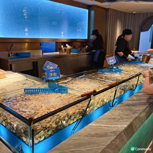 新開即撈海鮮火鍋放題店🍲