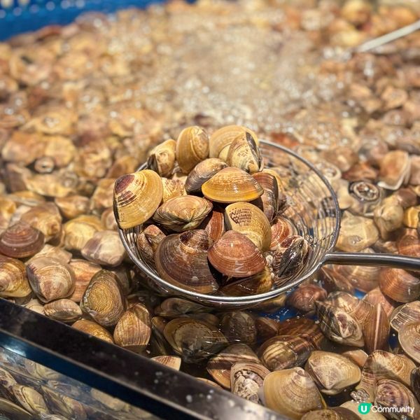 新開即撈海鮮火鍋放題店🍲