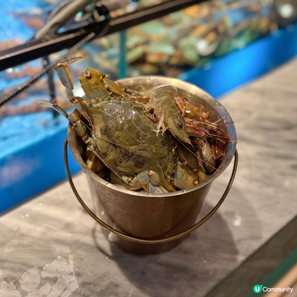 新開即撈海鮮火鍋放題店🍲