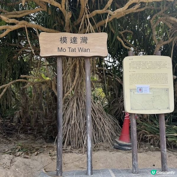 南丫島輕鬆遊！親子打卡勝地😎