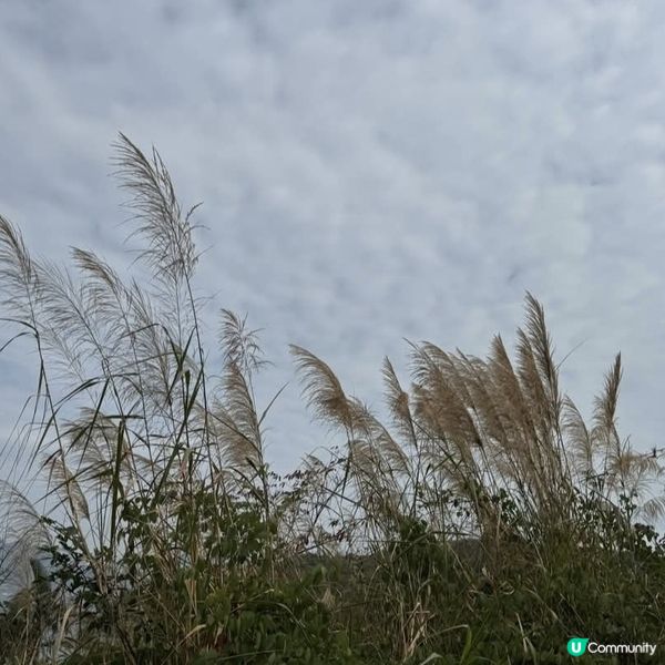 南丫島輕鬆遊！親子打卡勝地😎