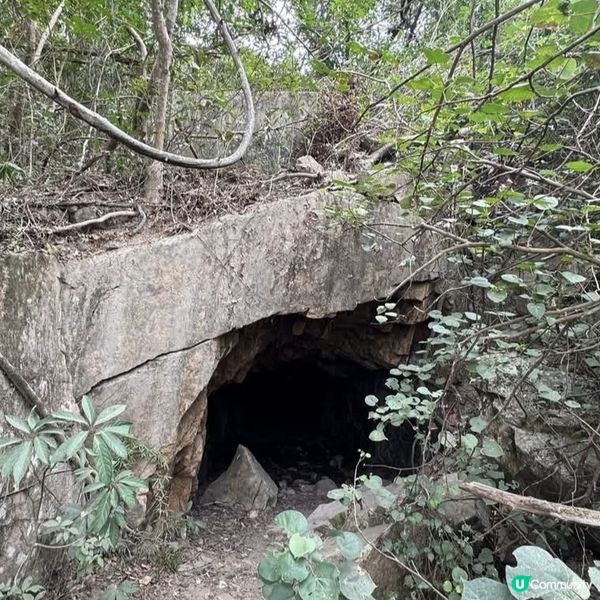 南丫島輕鬆遊！親子打卡勝地😎