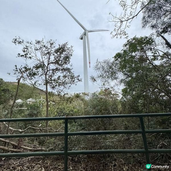 南丫島輕鬆遊！親子打卡勝地😎