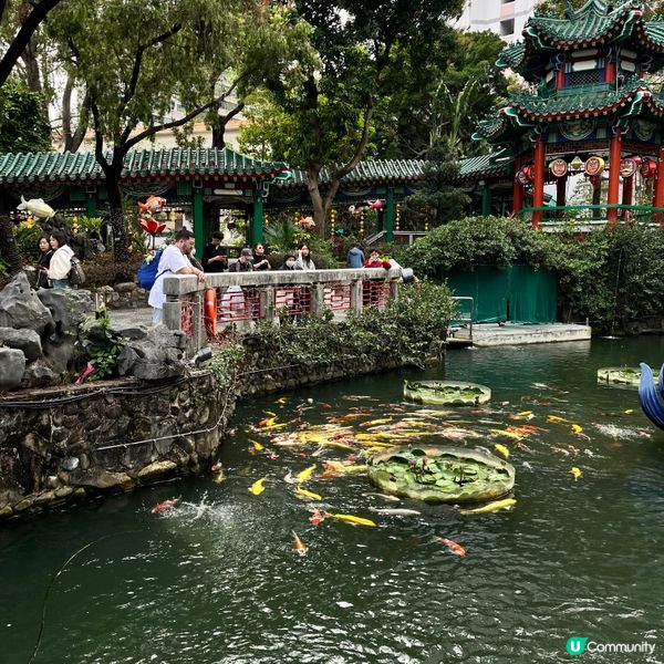 餵魚勝地🐟 靚景打卡📸