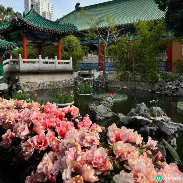 餵魚勝地🐟 靚景打卡📸