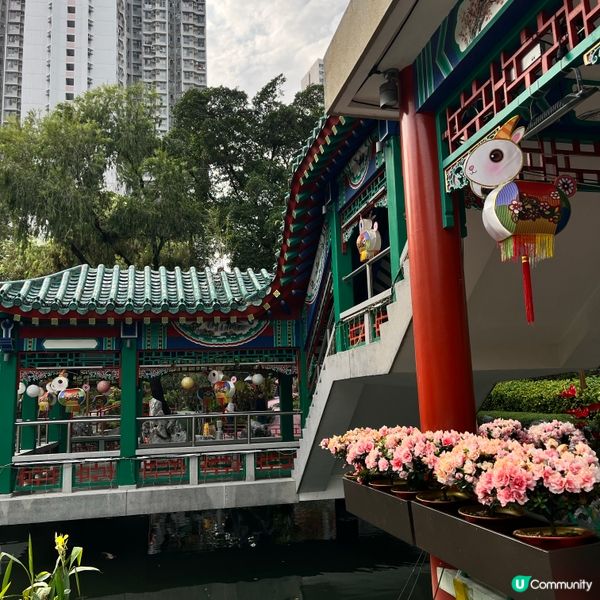 餵魚勝地🐟 靚景打卡📸