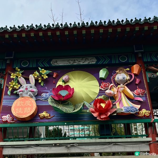 餵魚勝地🐟 靚景打卡📸