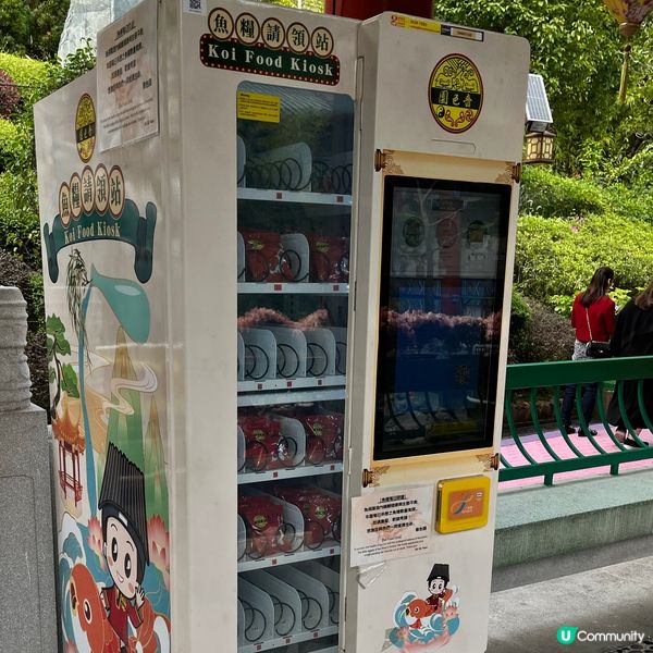 餵魚勝地🐟 靚景打卡📸