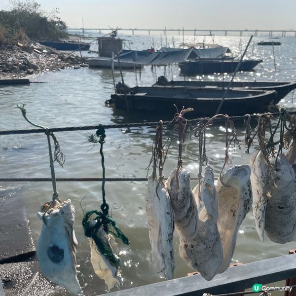 週末寧靜休閒的地方-流浮山