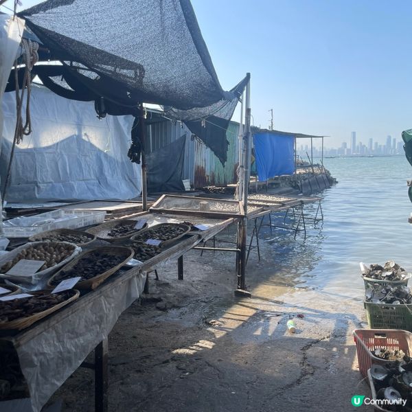 週末寧靜休閒的地方-流浮山