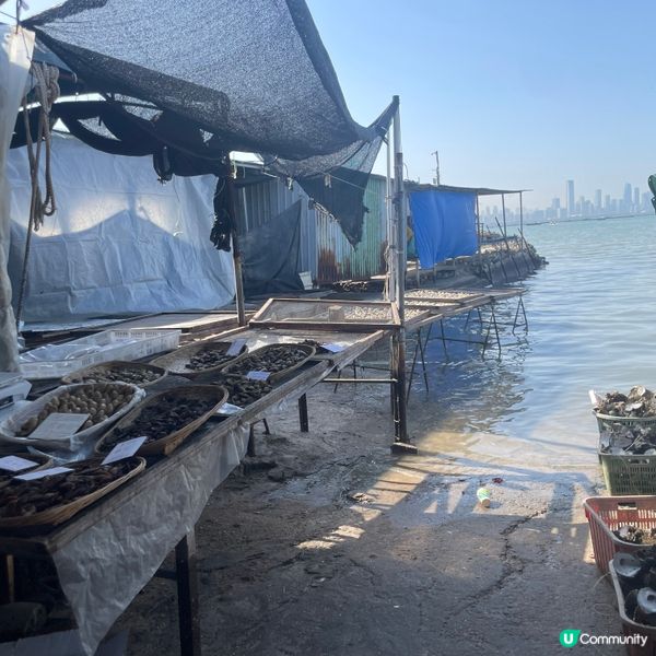 週末寧靜休閒的地方-流浮山