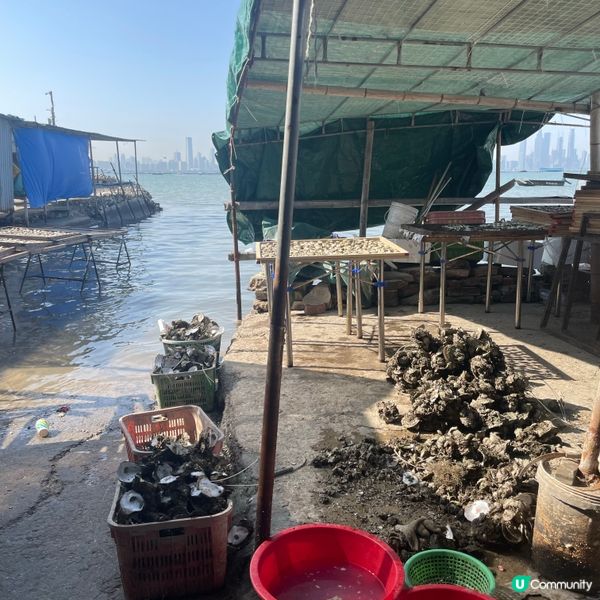 週末寧靜休閒的地方-流浮山