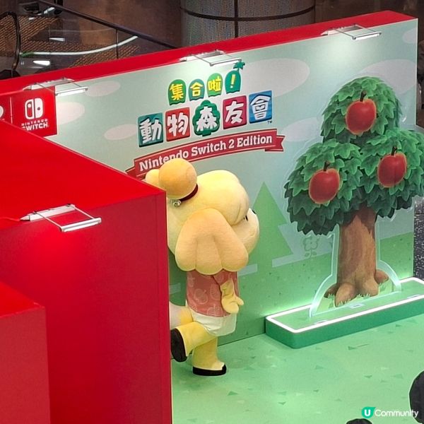 ✨️香港假日好去處💕動森2試玩體驗和高質打卡位分享🤩