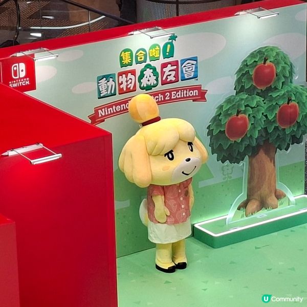 ✨️香港假日好去處💕動森2試玩體驗和高質打卡位分享🤩