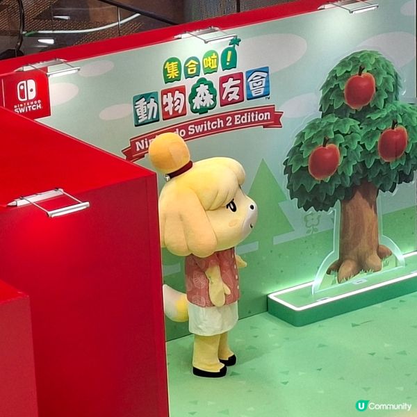 ✨️香港假日好去處💕動森2試玩體驗和高質打卡位分享🤩