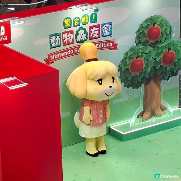 ✨️香港假日好去處💕動森2試玩體驗和高質打卡位分享🤩