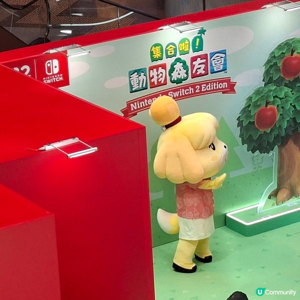 ✨️香港假日好去處💕動森2試玩體驗和高質打卡位分享🤩