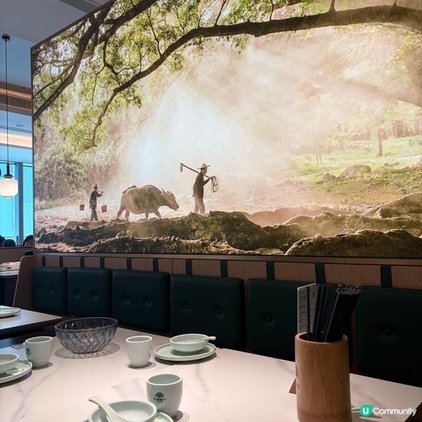 最近去咗希慎廣場大榕樹下食飯🌳主打食順德菜,餐牌食物選擇多,...