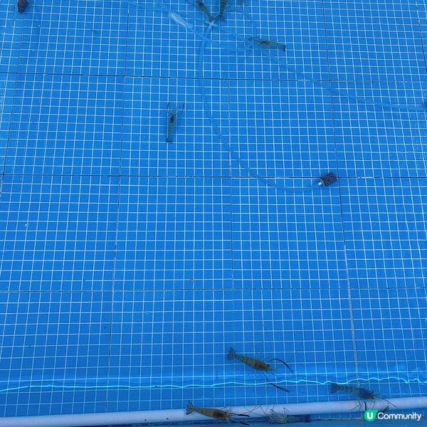 深圳｜北上放電好去處👾