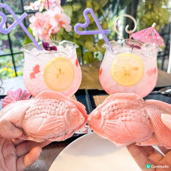 搶先bookmark東京櫻花季！🌸 