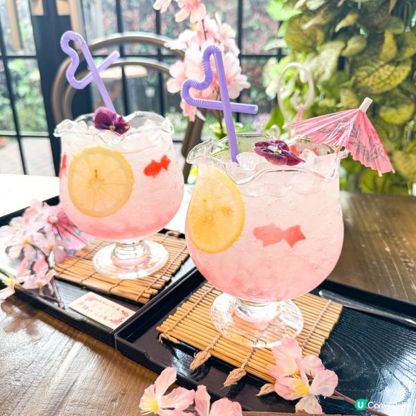 搶先bookmark東京櫻花季！🌸 