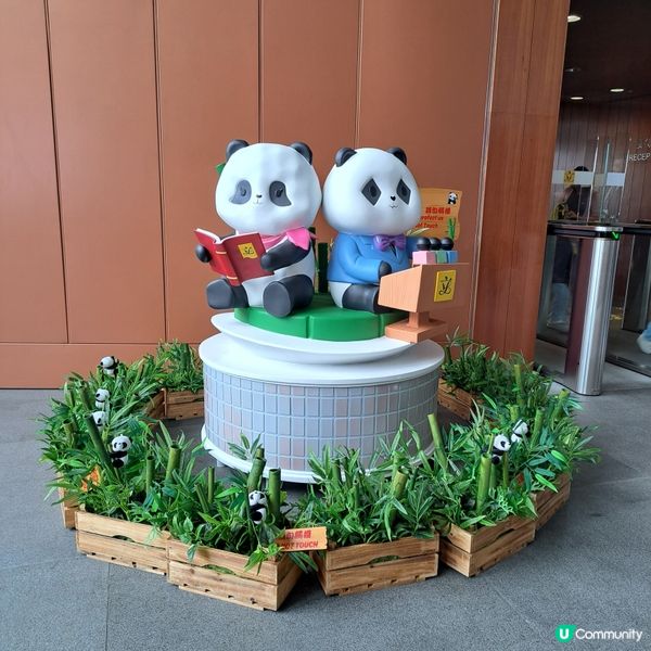 解構立法會！👀 乜嘢咁特別？🤩