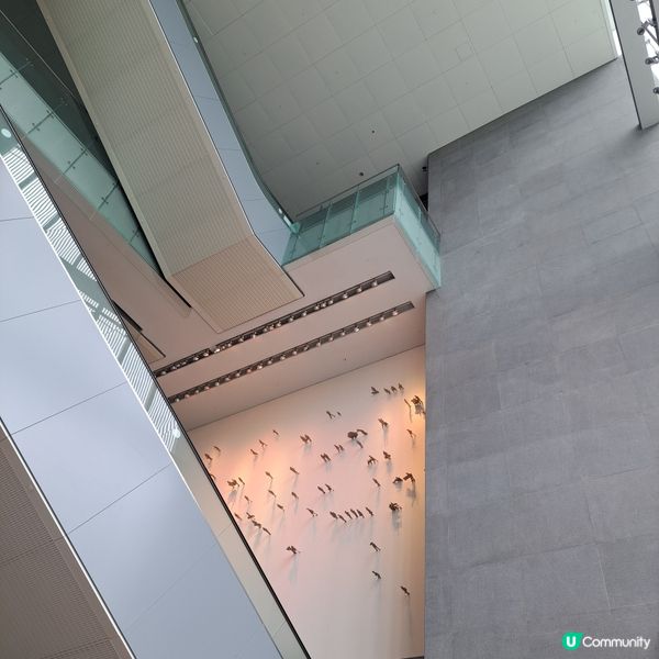 解構立法會！👀 乜嘢咁特別？🤩